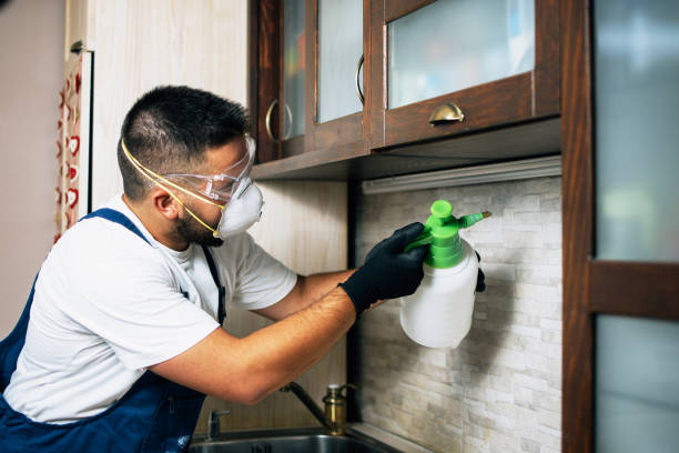 Best Best Pest Control Companies  in Greenville, TX