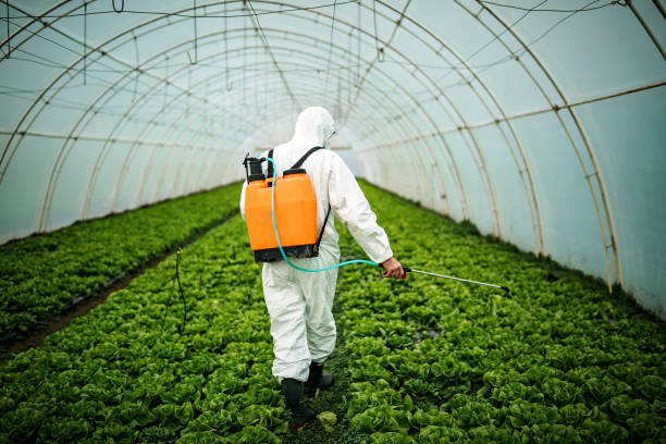 Best Commercial Pest Control Services  in Greenville, TX
