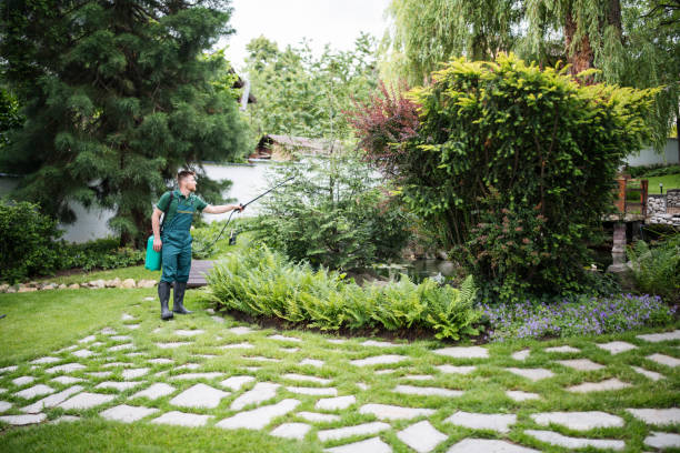 Best Affordable Pest Control Services  in Greenville, TX
