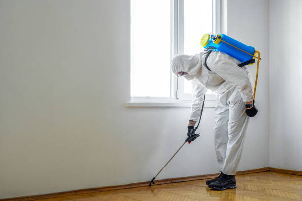 Professional Pest Control in Greenville, TX