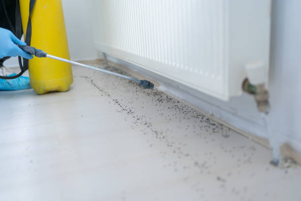 Best Cockroach Control Services  in Greenville, TX